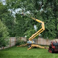 How Our Tree Care Process Works  in Bonifay, FL